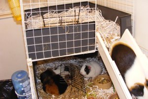 GP Retirement Home 002