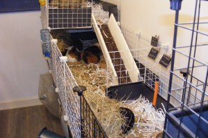 GP Retirement Home 005