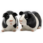 Black and white salt and pepper set