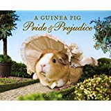 shop-book-guinea-pride-and-prejudice
