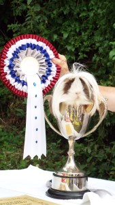 Champion Colin, owned by Carol Johnson