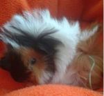 railway baby Tiffany