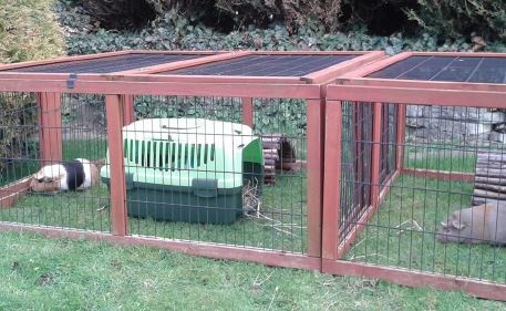 20180326-newsletter-did-you-know_2