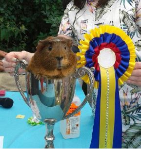 20180326-newsletter-open-day